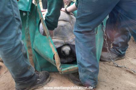 Hagenbeck 04032011 012