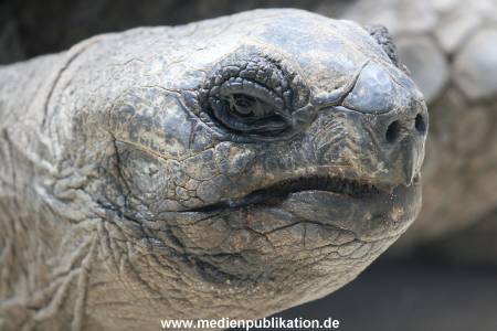 Hagenbeck 29102010 028