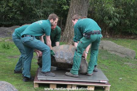 Hagenbeck Inventur 03052016 014