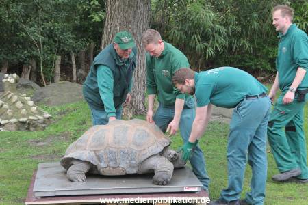Hagenbeck Inventur 03052016 016