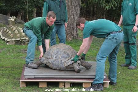 Hagenbeck Inventur 03052016 019