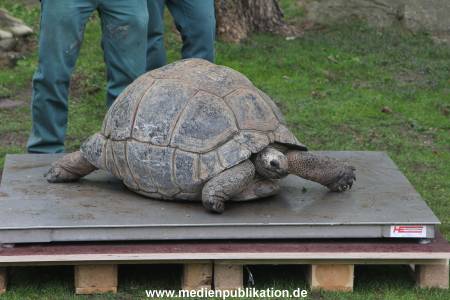 Hagenbeck Inventur 03052016 020