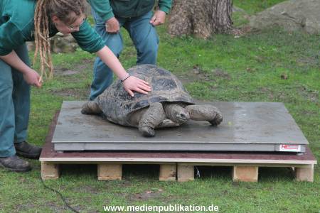 Hagenbeck Inventur 03052016 022