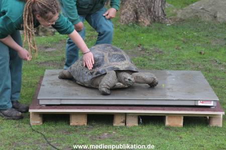 Hagenbeck Inventur 03052016 023