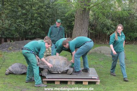 Hagenbeck Inventur 03052016 028