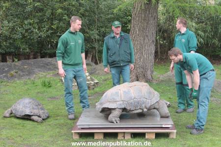 Hagenbeck Inventur 03052016 030