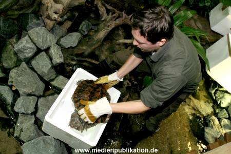 Hagenbeck Inventur 28122007 001