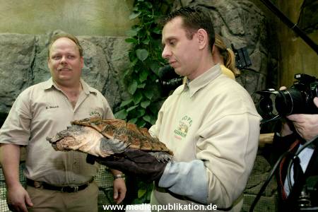 Hagenbeck Inventur 28122007 002