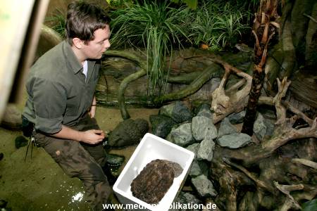 Hagenbeck Inventur 28122007 003