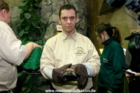 Hagenbeck Inventur 28122007 011