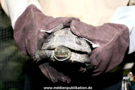 Hagenbeck Inventur 28122007 012