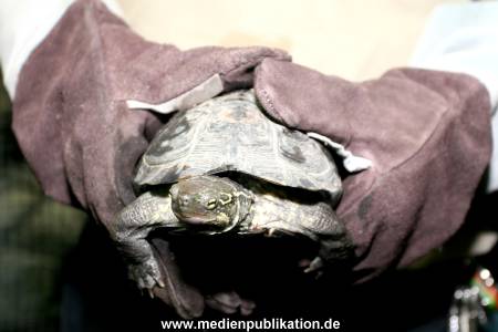 Hagenbeck Inventur 28122007 013