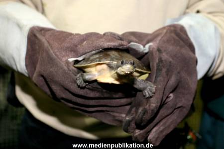 Hagenbeck Inventur 28122007 014