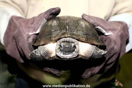 Hagenbeck Inventur 28122007 015