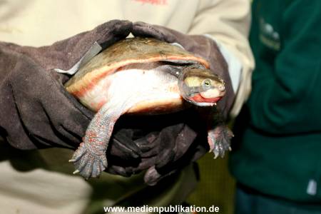 Hagenbeck Inventur 28122007 017