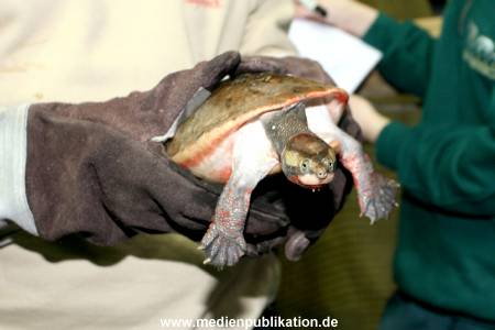 Hagenbeck Inventur 28122007 018