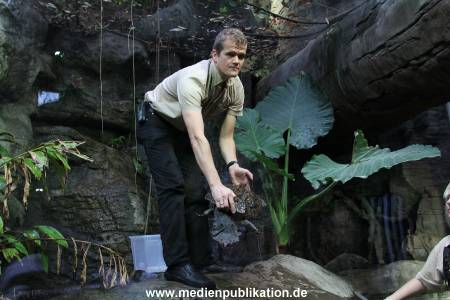 Hagenbeck Inventur 29122011 000