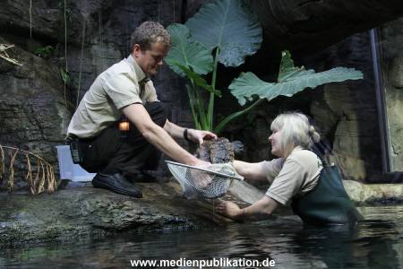 Hagenbeck Inventur 29122011 001
