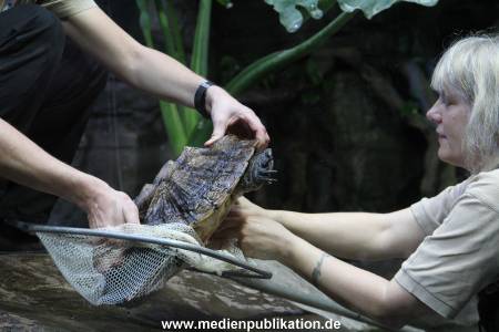 Hagenbeck Inventur 29122011 002