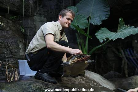 Hagenbeck Inventur 29122011 003