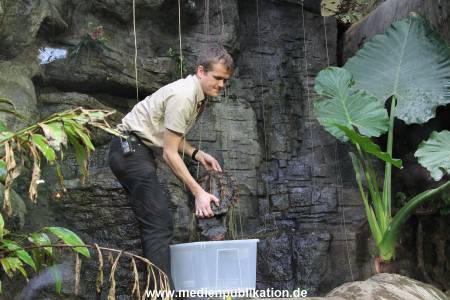 Hagenbeck Inventur 29122011 007