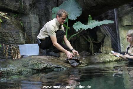 Hagenbeck Inventur 29122011 008