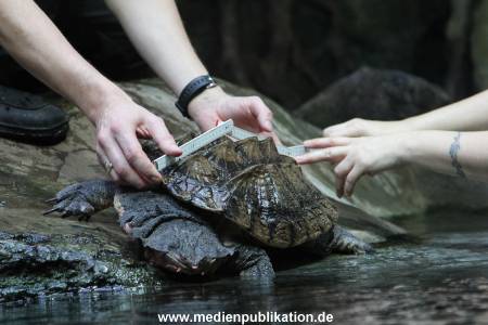 Hagenbeck Inventur 29122011 011