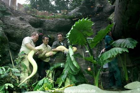 Hagenbeck Inventur 28122007 019