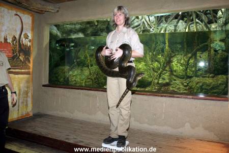 Hagenbeck Inventur 29122009 006