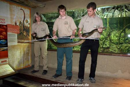 Hagenbeck Inventur 29122009 007