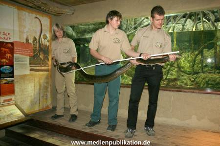 Hagenbeck Inventur 29122009 008