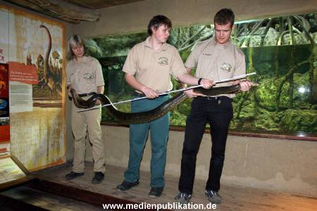 Hagenbeck Inventur 29122009 009