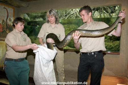 Hagenbeck Inventur 29122009 011