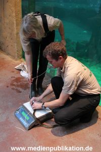 Hagenbeck Inventur 29122011 014