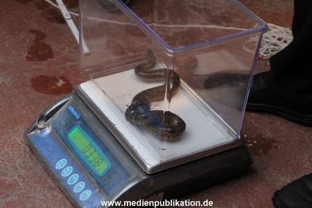 Hagenbeck Inventur 29122011 015