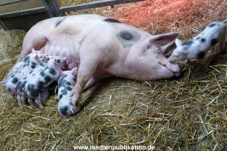 Hagenbeck 042010 022