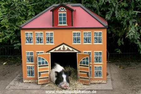 Hagenbeck Archiv 07042009 004