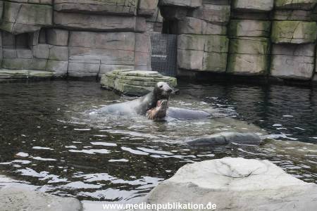 Hagenbeck 24022015 079