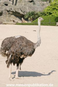 Hagenbeck 24042005 001