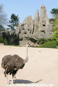 Hagenbeck 24042005 003