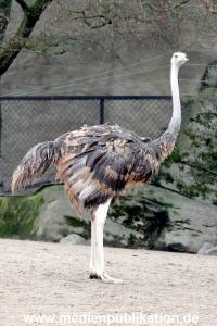 Hagenbeck Inventur 02032012 016