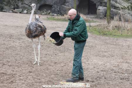 Hagenbeck Inventur 02032012 018