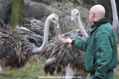 Hagenbeck Inventur 02032012 021