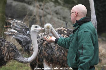 Hagenbeck Inventur 02032012 022