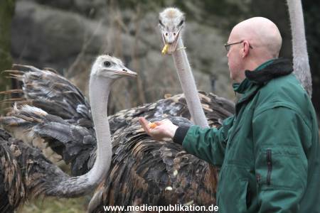 Hagenbeck Inventur 02032012 023