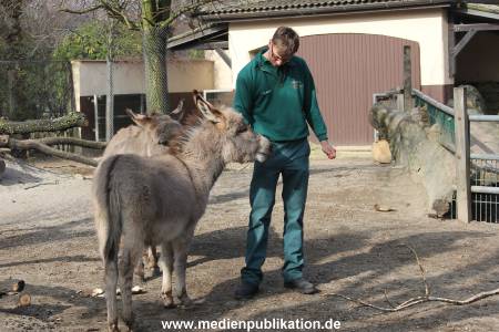 Hagenbeck 04032011 018