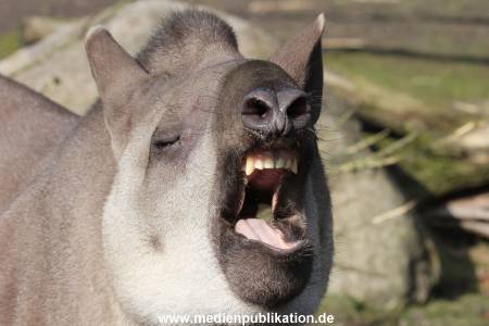 Hagenbeck 09032014 006