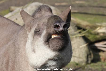 Hagenbeck 09032014 007