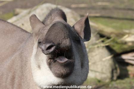 Hagenbeck 09032014 008
