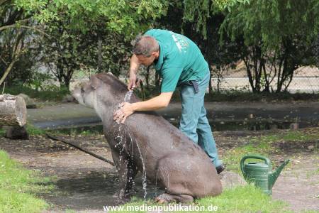 Hagenbeck 25072013 011